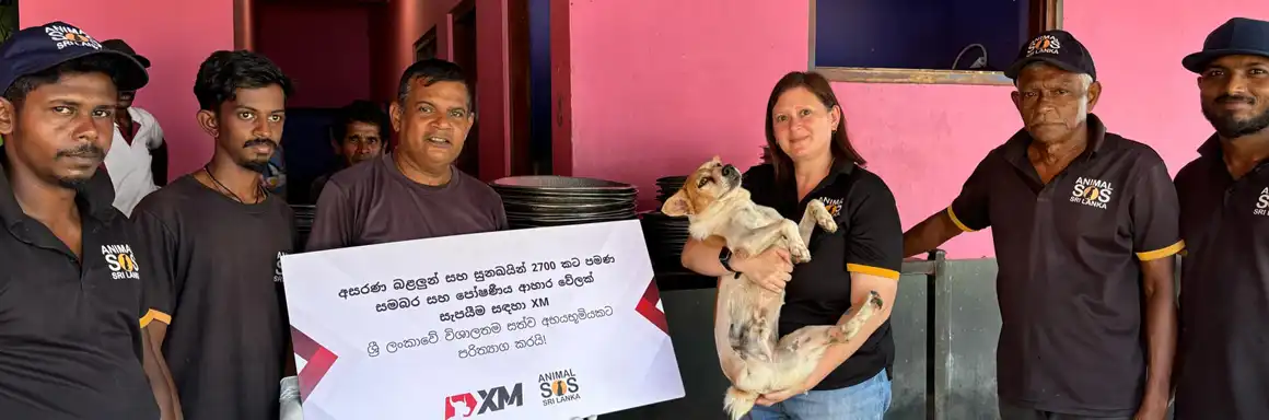 保护斯里兰卡流浪动物(图3) Food Donation 6.webp